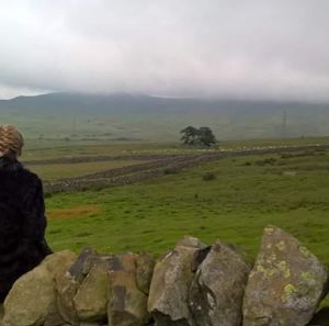 Meet your Posher, Lucinda